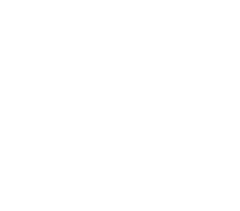 The Fine Qubit logo